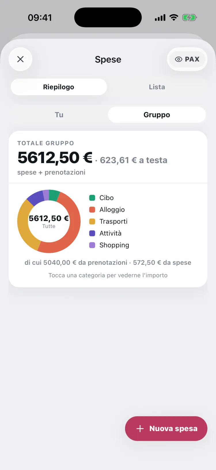 Riepilogo spese del gruppo per categoria